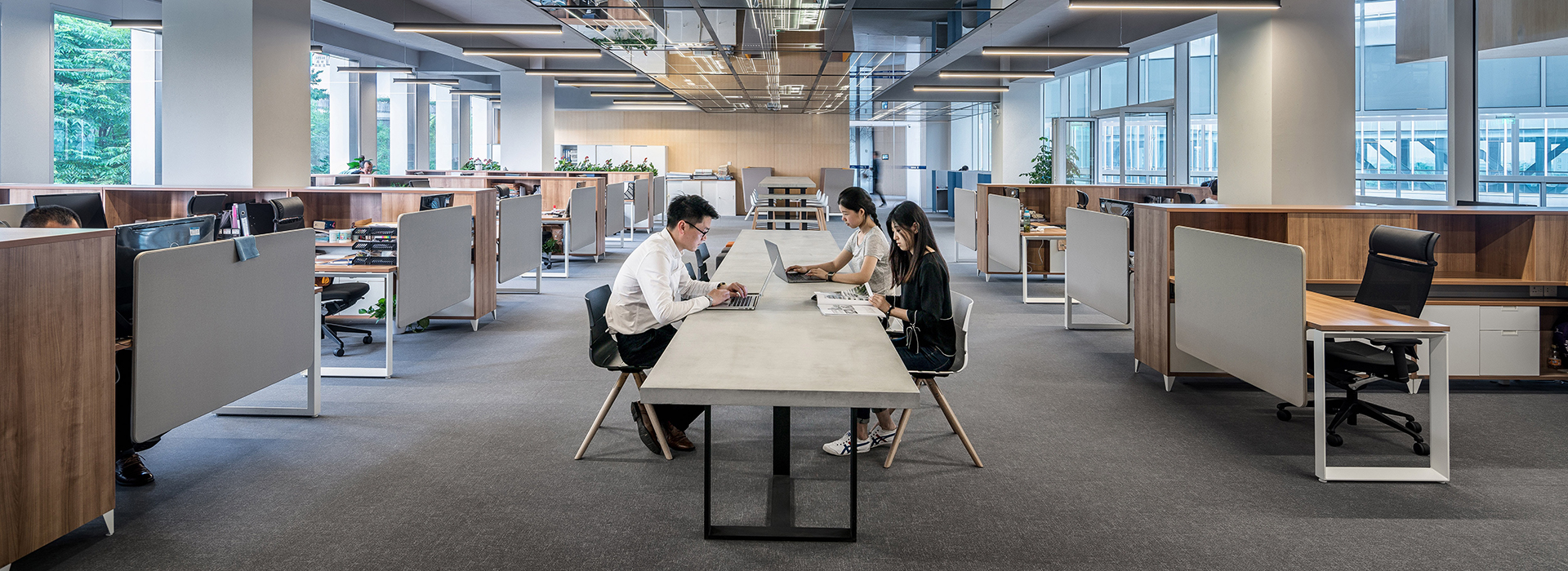 �ò�����(�й�)���޹�˾����