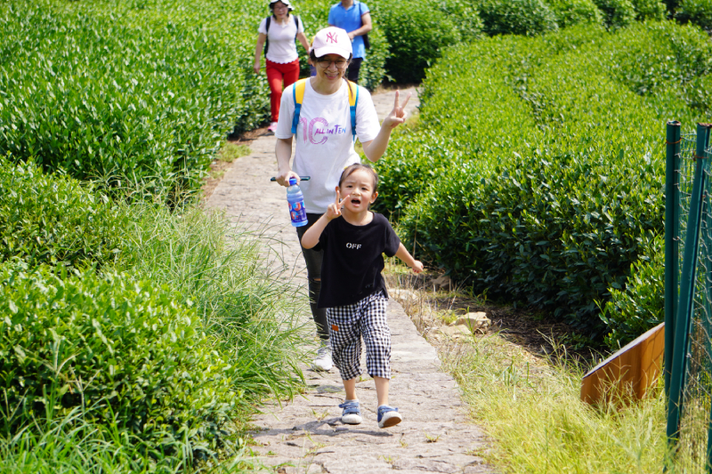 �ò�����(�й�)���޹�˾����