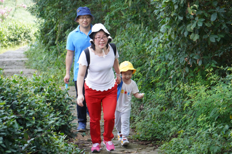 �ò�����(�й�)���޹�˾����