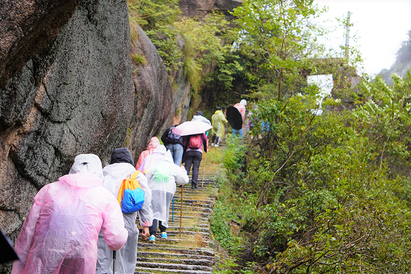 �ò�����(�й�)���޹�˾����