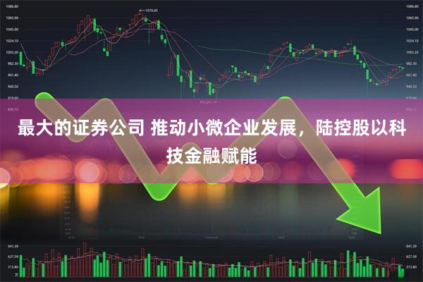 最大的证券公司 推动小微企业发展，陆控股以科技金融赋能