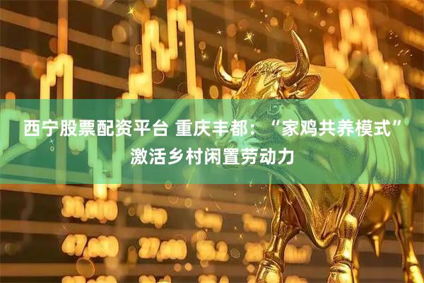 西宁股票配资平台 重庆丰都：“家鸡共养模式”激活乡村闲置劳动力