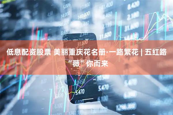 低息配资股票 美丽重庆花名册·一路繁花 | 五红路 “薇”你而来
