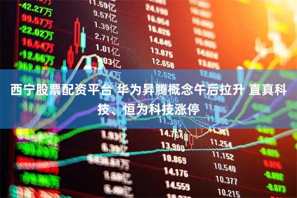 西宁股票配资平台 华为昇腾概念午后拉升 直真科技、恒为科技涨停
